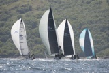 aurora gbr7337r forty licks gbr4041r el gran senor gbr4822 spirit of jacana irl1335 ss19 fri gjmc2476w